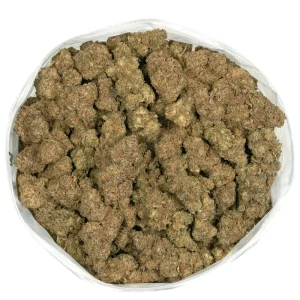 Cactus Breath – Hybrid Cannabis