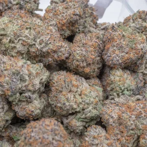 Alternative view of Buy Gelato Cake Strains Online
