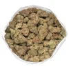large-cluster-of-orange-cookies-buds