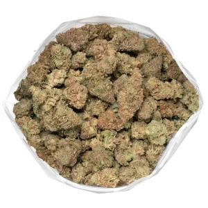 large-cluster-of-orange-cookies-buds