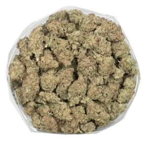 Mac 10 – Hybrid Cannabis Online