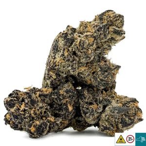 Alternative view of Premium Flower: Total Eclipse