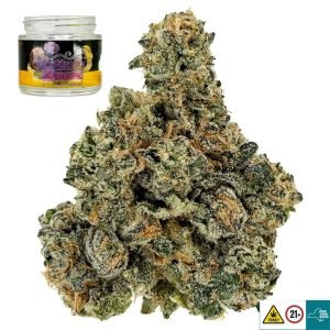 Cookies & Dreams Strain
