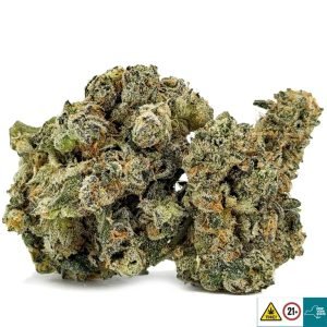 Alternative view of Cookies & Dreams Strain