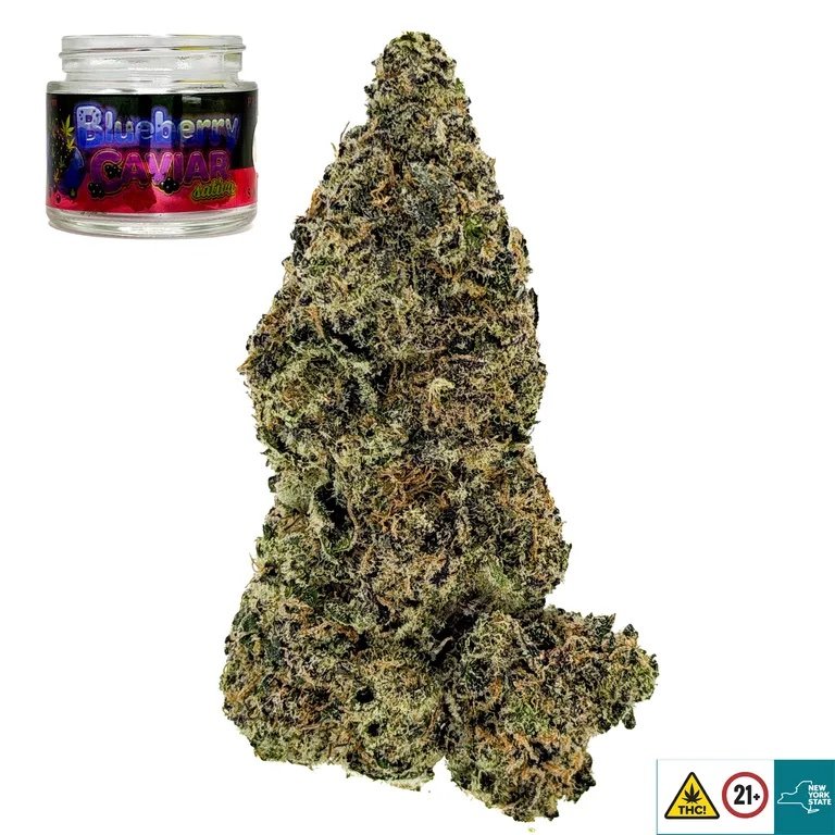 Blueberry Caviar - Image 3
