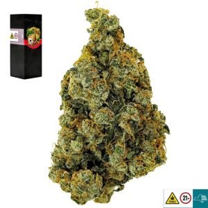 Alternative view of Jack Flash Strain