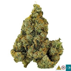 Jack Flash Strain