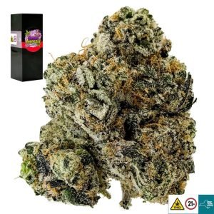 Sensi Amnesia Strain