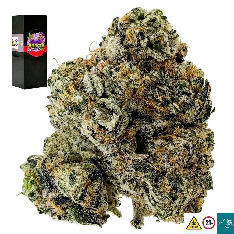 Sensi Amnesia Strain