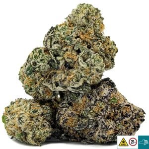 Alternative view of Sensi Amnesia Strain