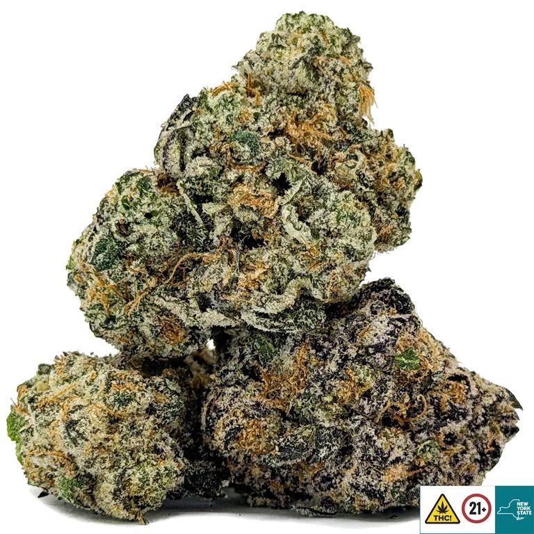 Sensi Amnesia Strain - Image 2