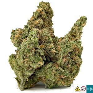 Alternative view of Blue Dream