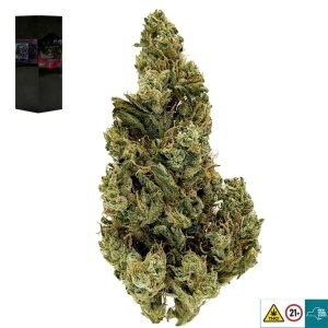 Sour Diesel Strain