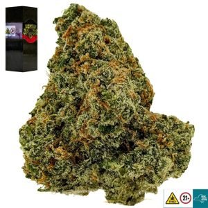 Lemon Jack Strain
