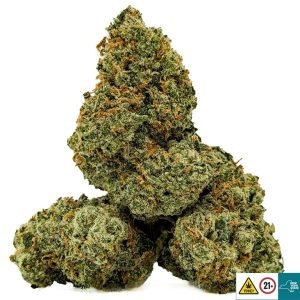 Alternative view of Lemon Jack Strain