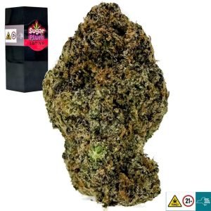 Sugar Plum Strain