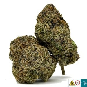 Alternative view of Sugar Plum Strain