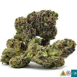 Alternative view of Blueberry Dreams Strain