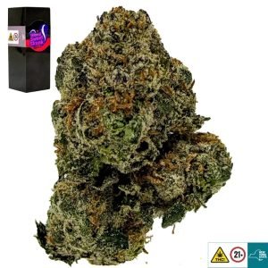 Island Sweet Skunk