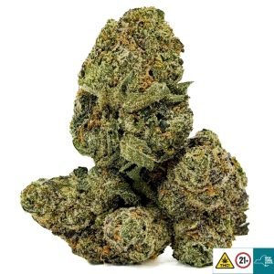 Alternative view of Island Sweet Skunk