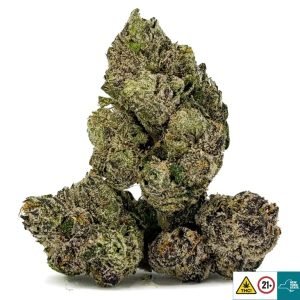 Alternative view of Granny Candy Strain