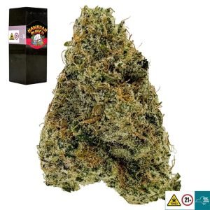 Hawaiian Punch Strain