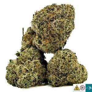 Alternative view of White Zushi Strain