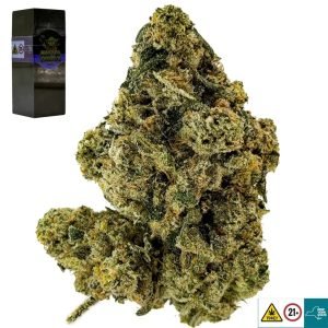 Master Yoda OG Strain