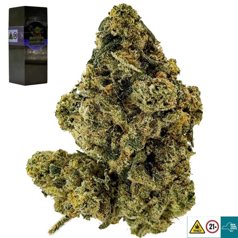 Master Yoda OG Strain