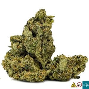 Alternative view of Master Yoda OG Strain