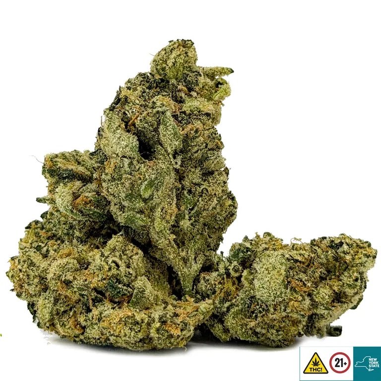 Master Yoda OG Strain - Image 2