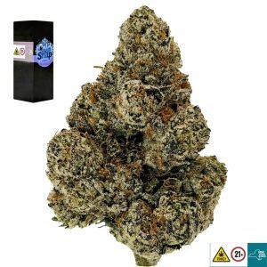 Cold Snap Strain