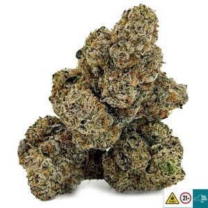 Alternative view of Cold Snap Strain