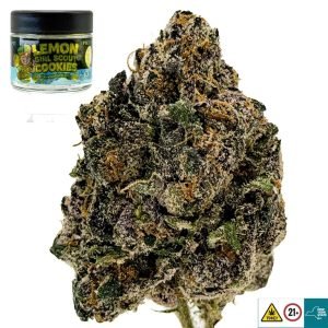 Lemon Girl Scout Cookies Strain