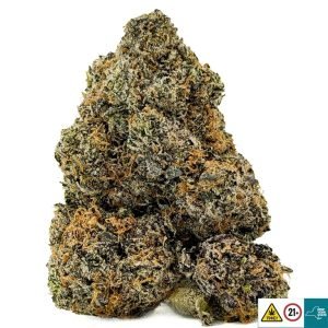 Alternative view of Spicy Tuna Strain