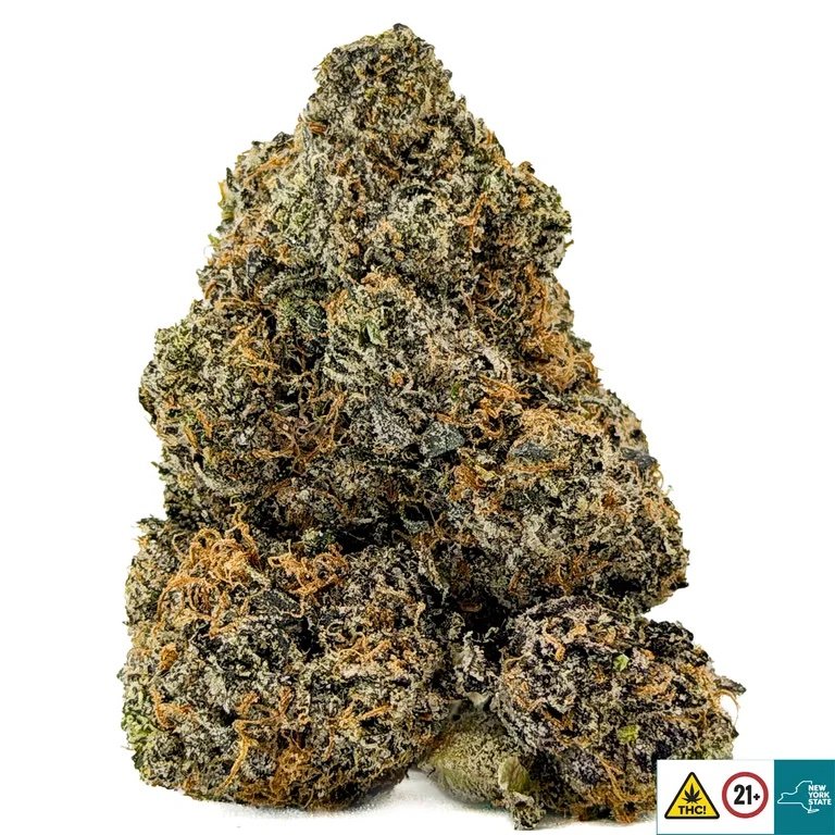 Spicy Tuna Strain - Image 2