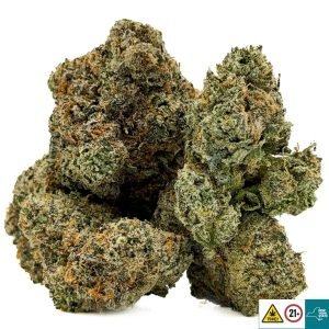Alternative view of Cherry Malt Strain