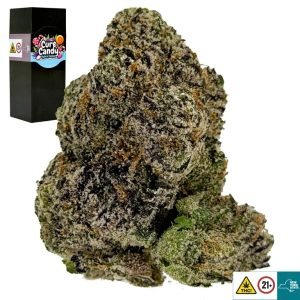 Cure Candy Strain