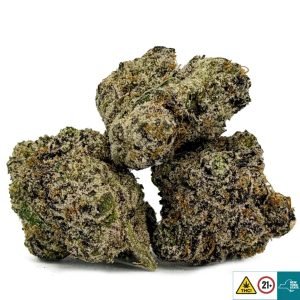 Alternative view of Cure Candy Strain