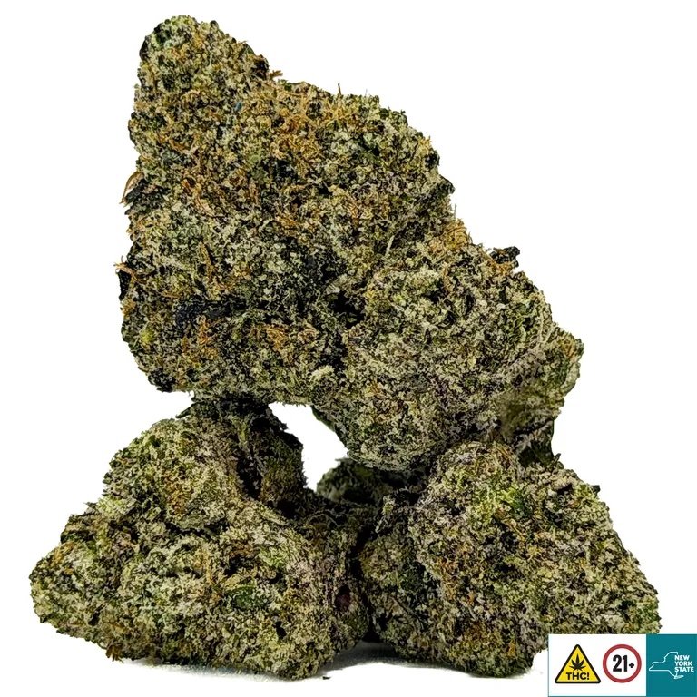 Blueberry Jam Strain - Image 2