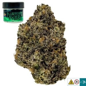 Blueberry Crumble Strain