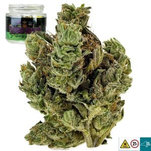 Three Kings Strain
