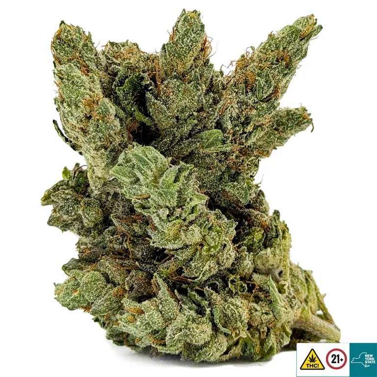 Three Kings Strain - Image 2