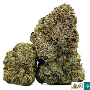 Alternative view of Sweet White Berry Strain