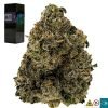 Galactic Runtz Strain